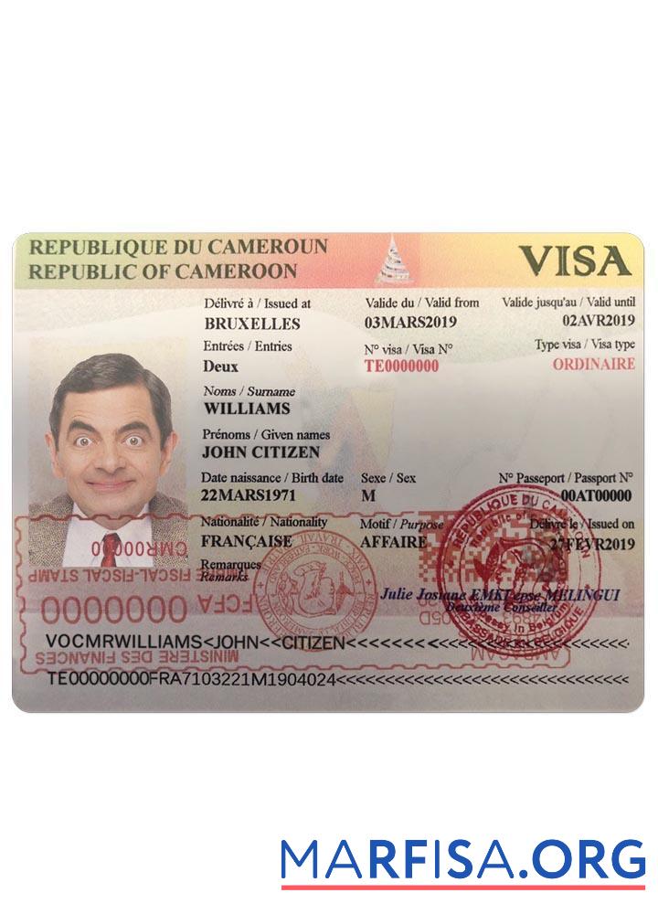 Downloadable Cameroon visa real example